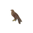Pin Badge Common Buzzard